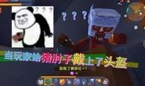 小宇家族最新爆料视频在线观看,揭秘家族幕后故事