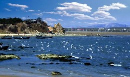 北戴河旅游爆料事件最新,揭秘背后真相，游客权益如何保障？