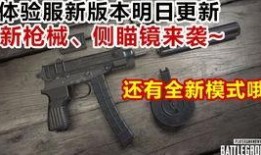 最新爆料新枪,革命性设计引领未来战场