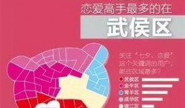 今日头条四川爆料视频最新,揭秘神秘事件背后的真相！