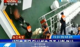 新船员最新爆料视频大全,最新视频大全深度解析